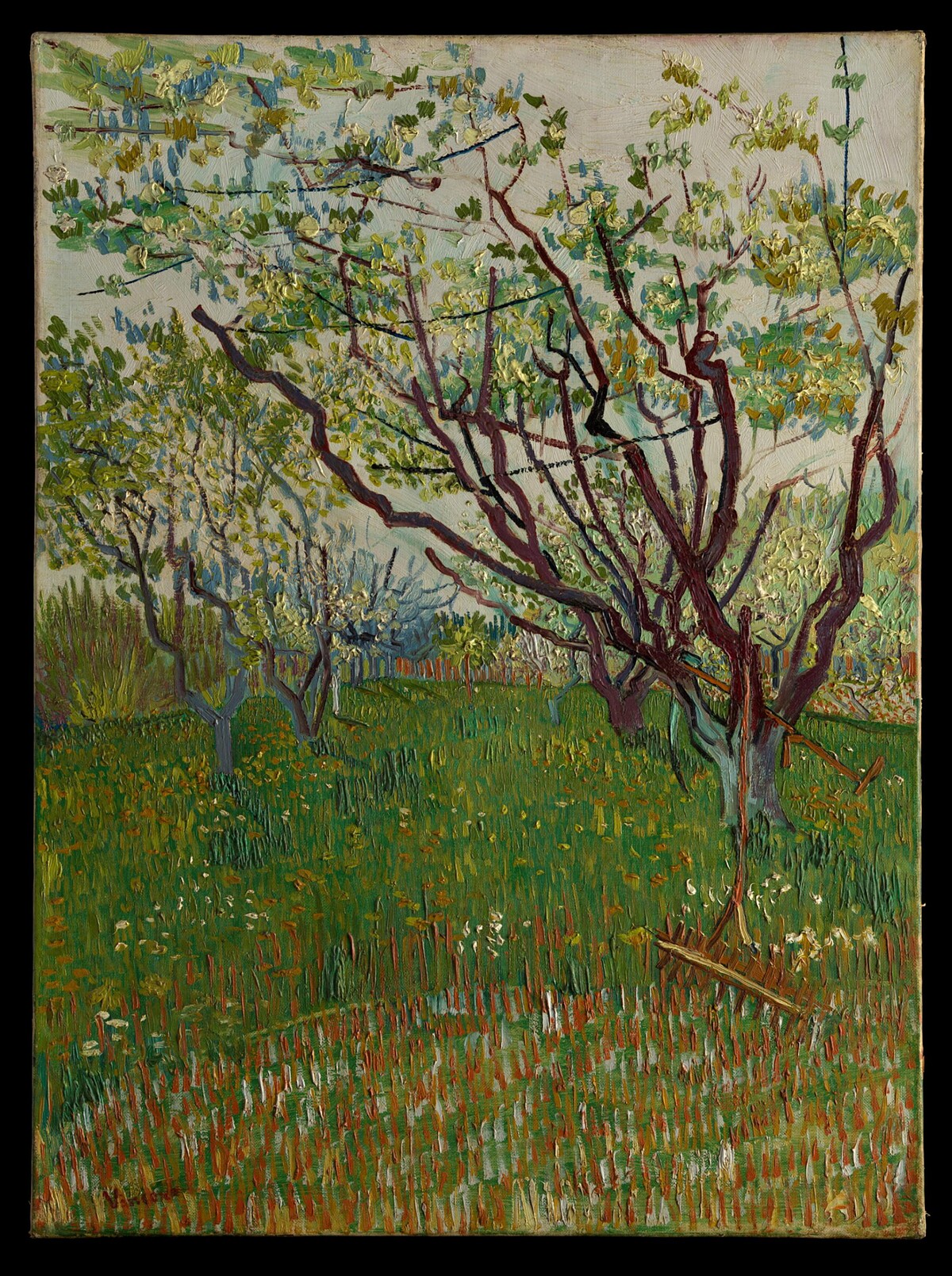 文森梵谷_花朵盛開的果園_1888 &copy; The Metropolitan Museum of Art_Vincent Van Gogh_The Flowering Orchard（時藝多媒體提供）