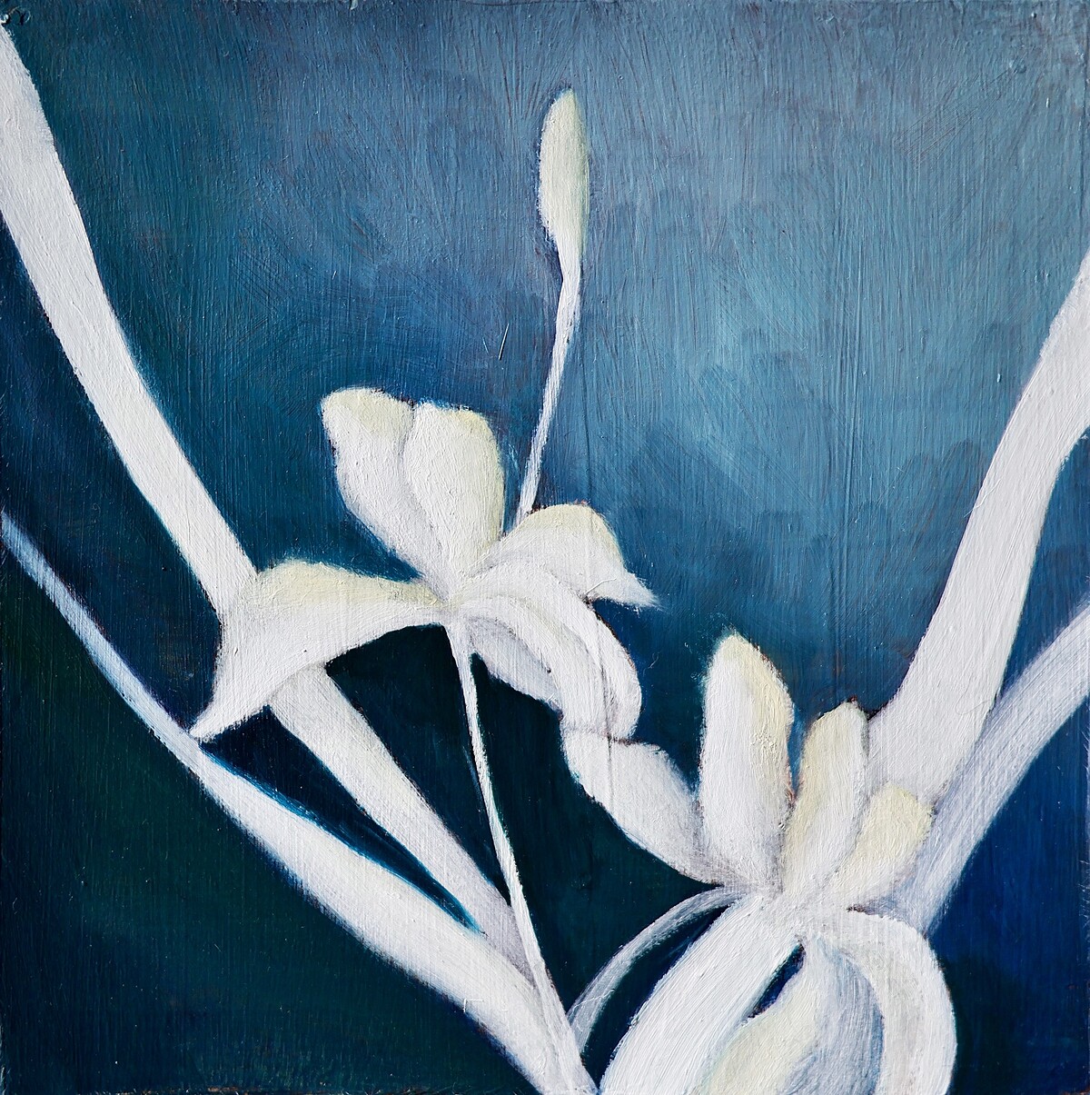 蔡宇貞 月夜裡的花1, 2025 油彩在木板上 單件20 x 20 cm