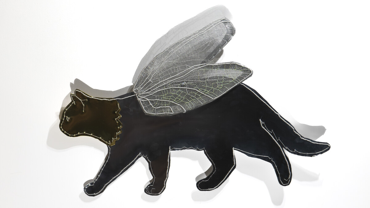 （日光下）《金面貓咪》 Cat with a Golden Face, 2025｜安卓藝術提供