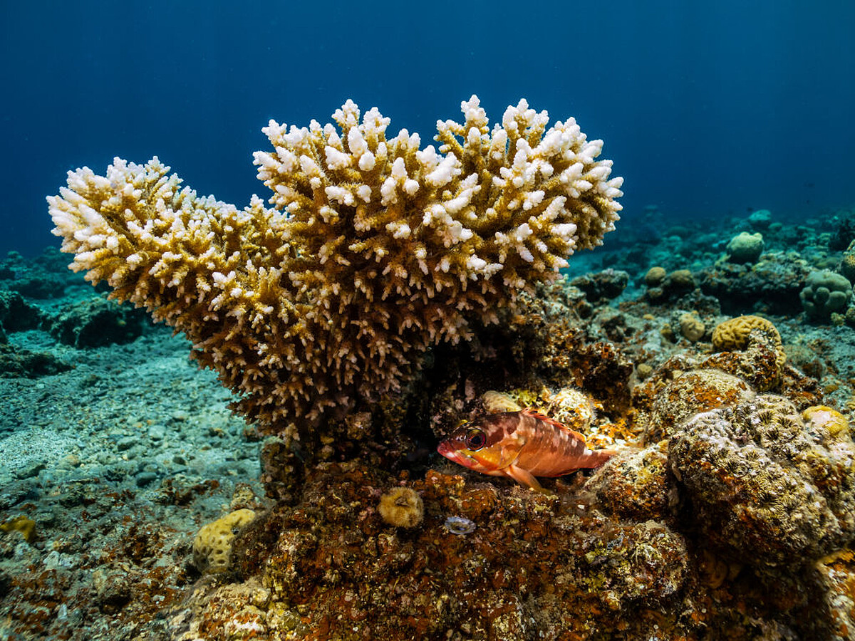 心理測驗｜人際相處中你散發什麼樣的光芒？測測看你自帶的 Spotlight｜&copy; Getty Images