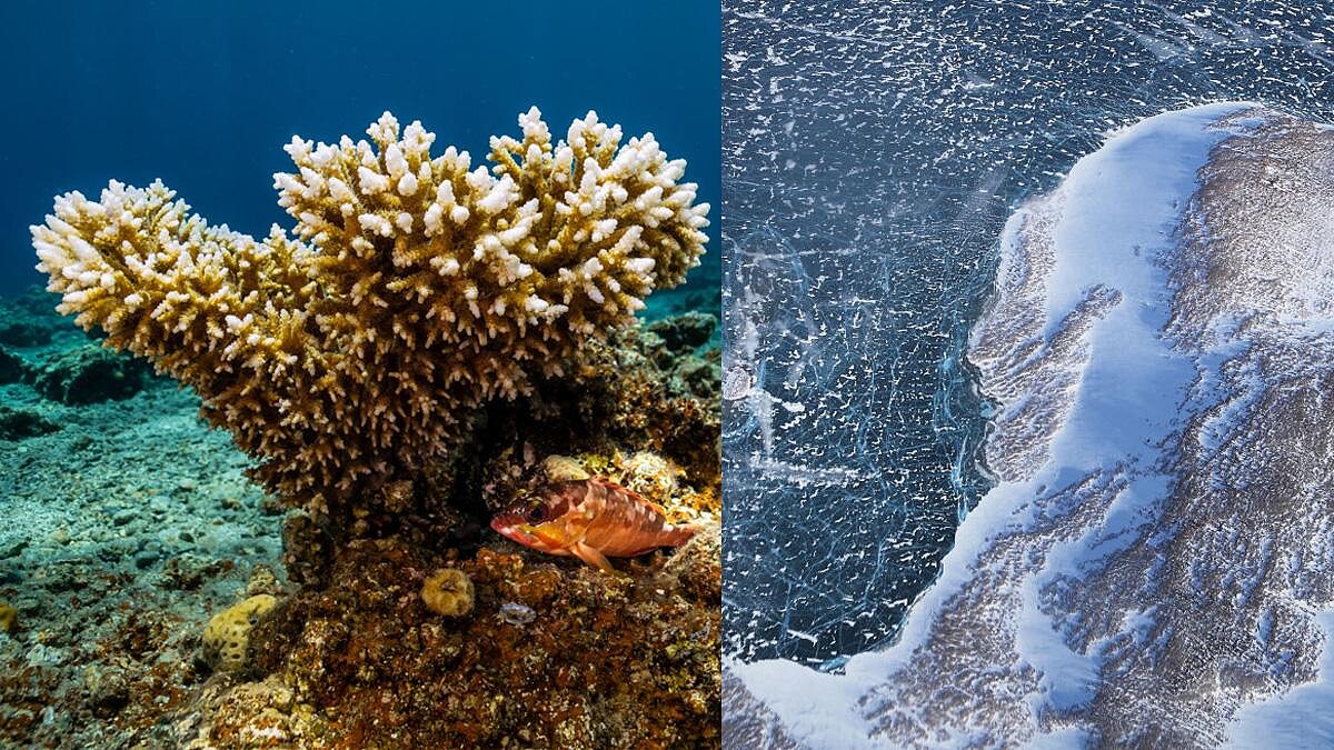 心理測驗｜人際相處中你散發什麼樣的光芒？測測看你自帶的 Spotlight