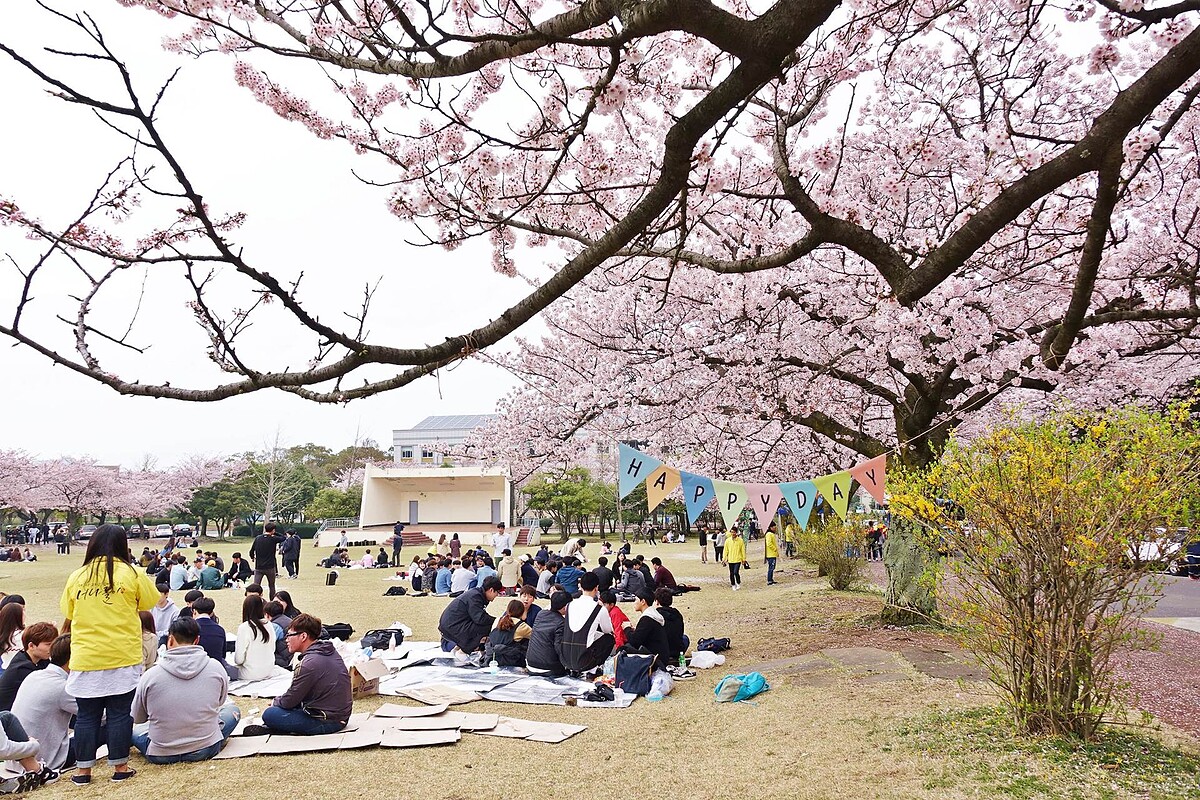 Photo/Visit Jeju官網。