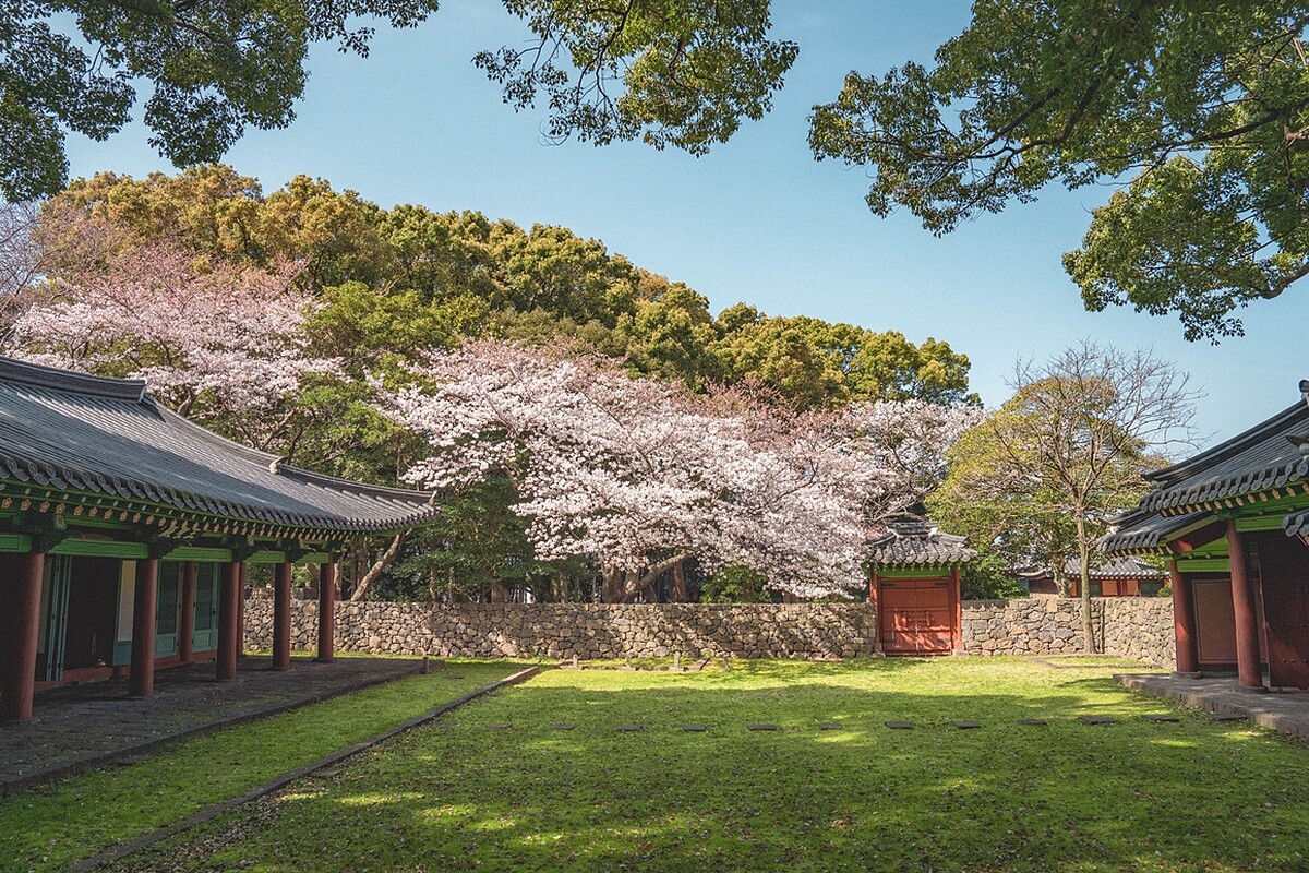 Photo/Visit Jeju官網。