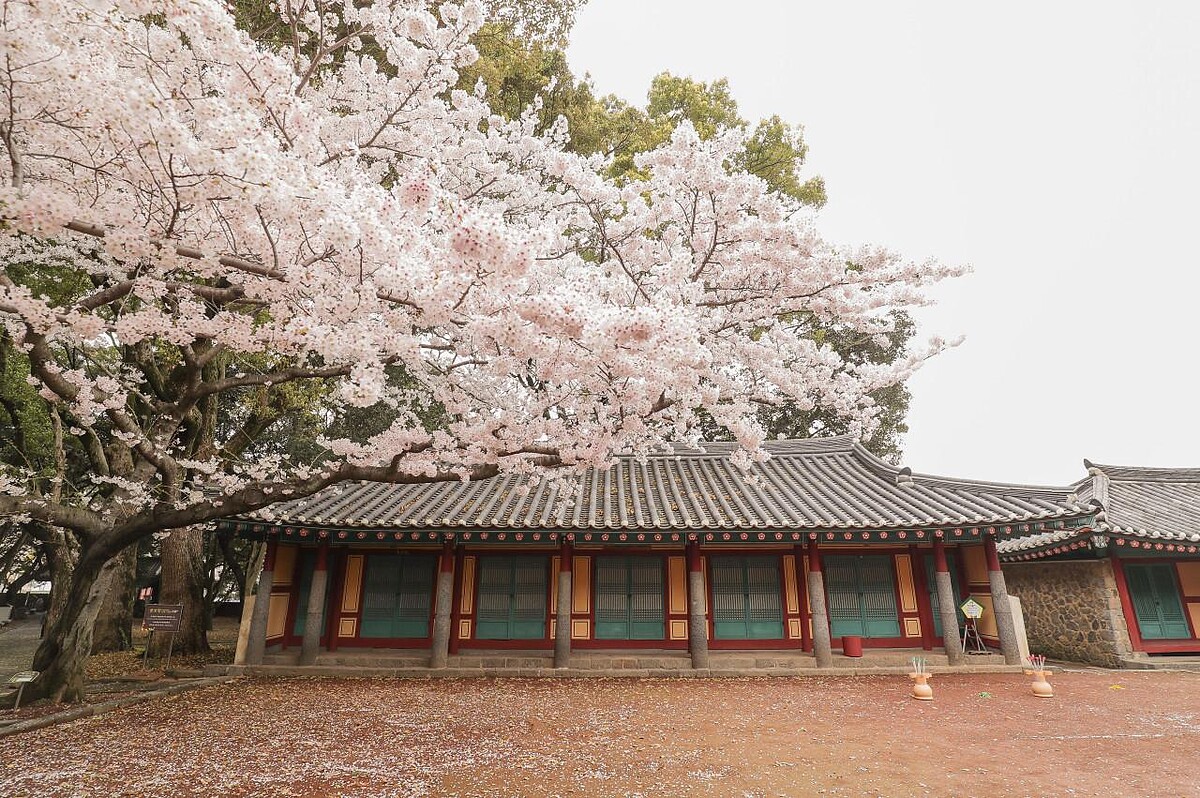 Photo/Visit Jeju官網。