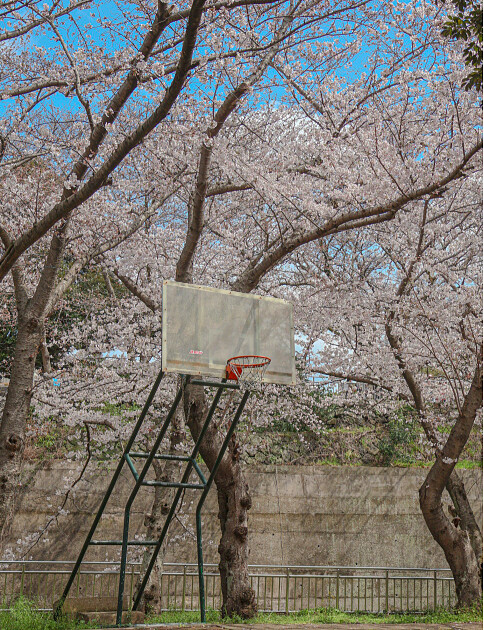 Photo/翻攝自Naver Map