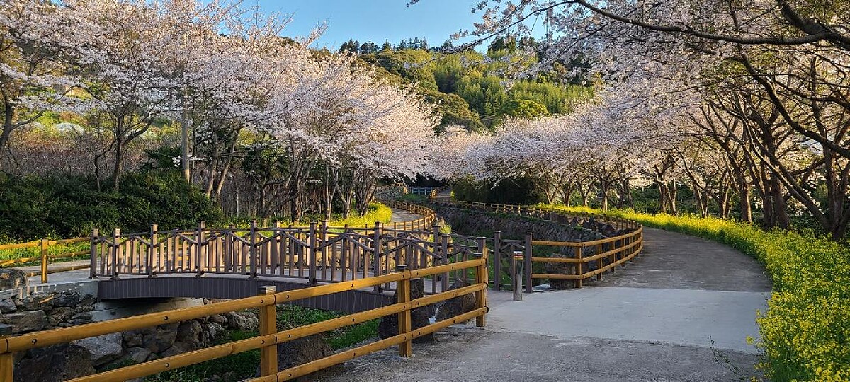 Photo/Visit Jeju官網。