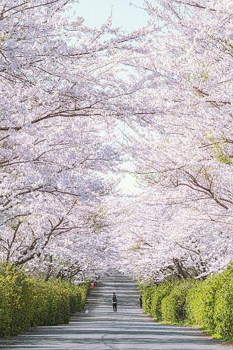 Photo/翻攝自Google Map