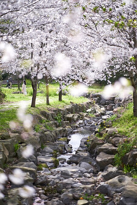 Photo/Visit Jeju官網。