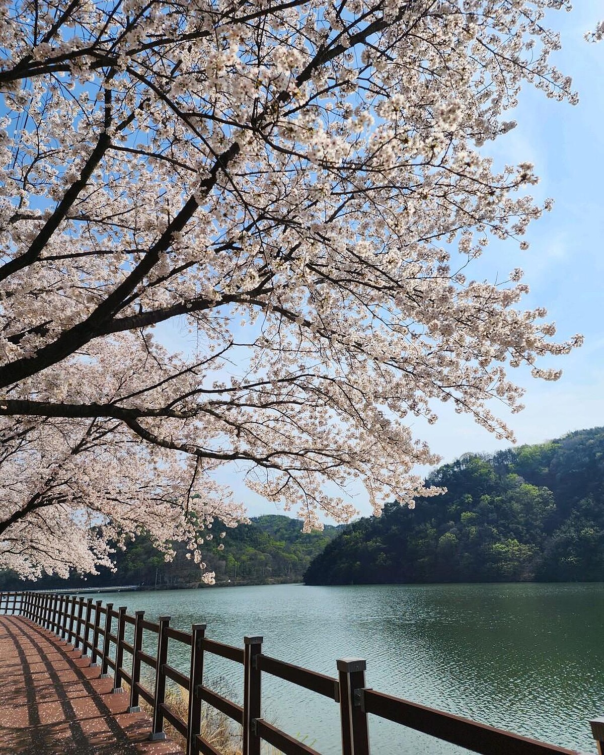 Photo/翻攝自Naver Map。