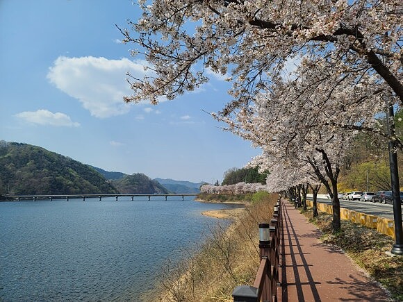 Photo/翻攝自Naver Map。