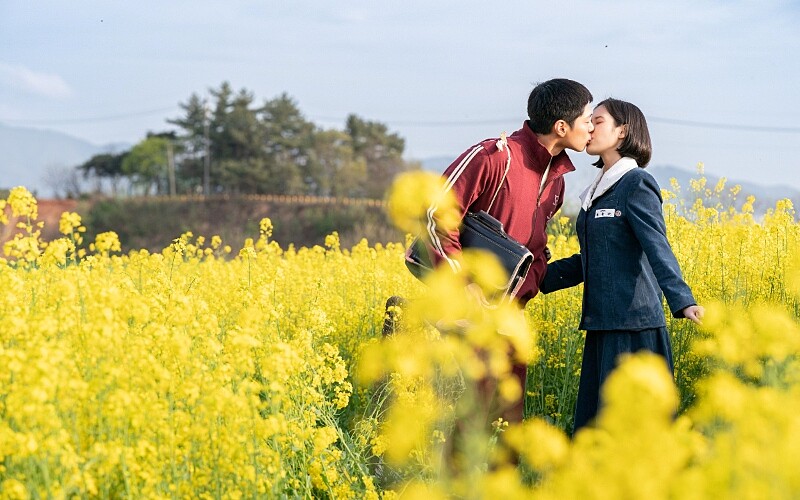 《苦盡柑來遇見你》朴寶劍 IU &copy;Netflix