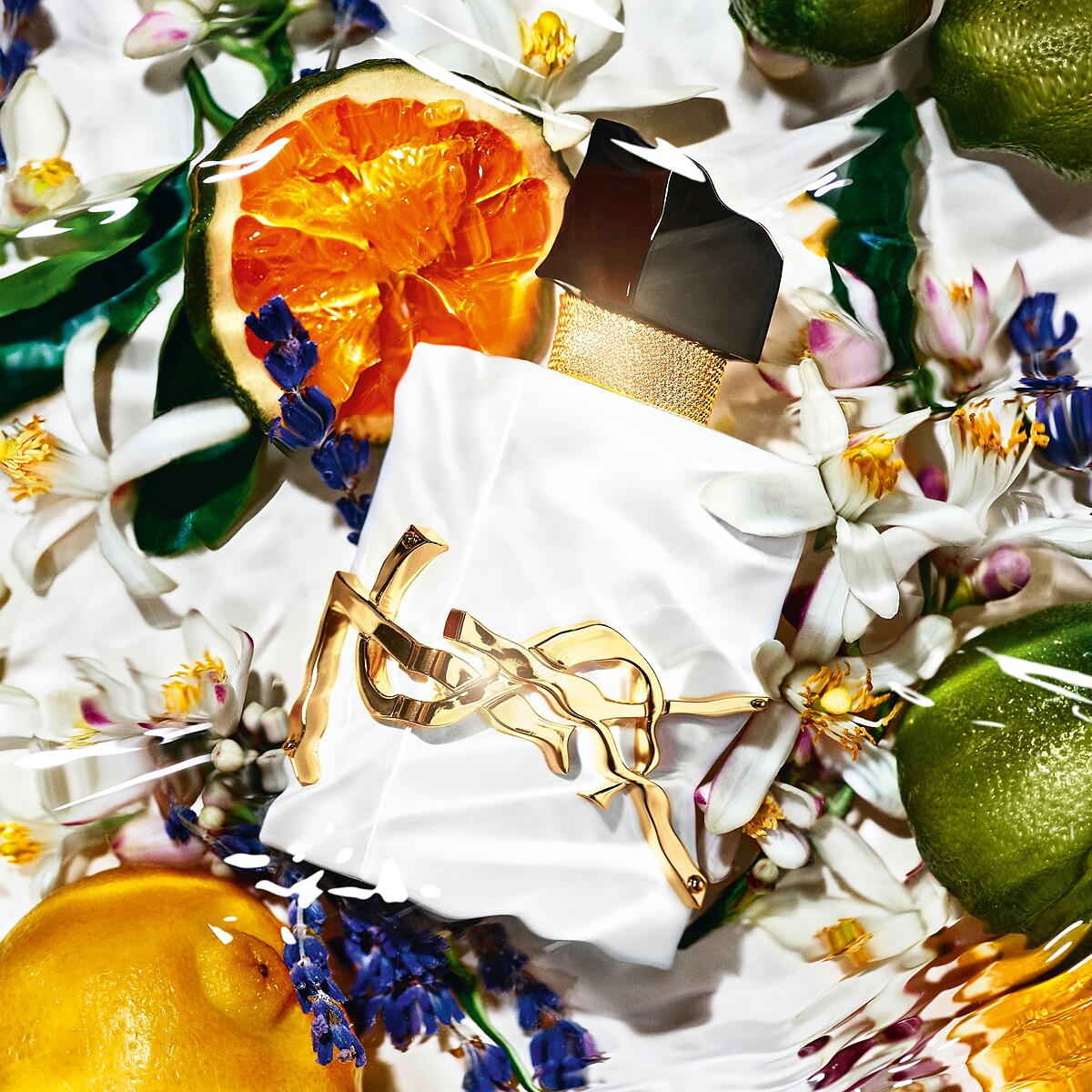 YSL自由不羈裸膚之水當中的柑橘、橙花、佛手柑等成份美圖。