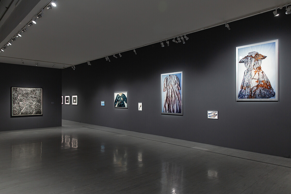 石內都攝影作品展出現場,臺北市立美術館提供