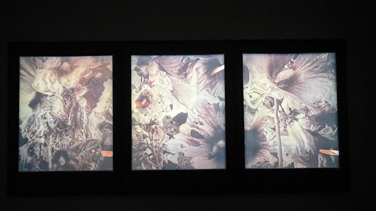 Melody TU 採訪拍攝