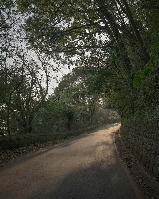 羅晟文,《看路》,2024,尋寶遊戲:攝影、錄像裝置、珠寶飾品、印刷品,尺寸依場地而定。圖像由藝術家提供。