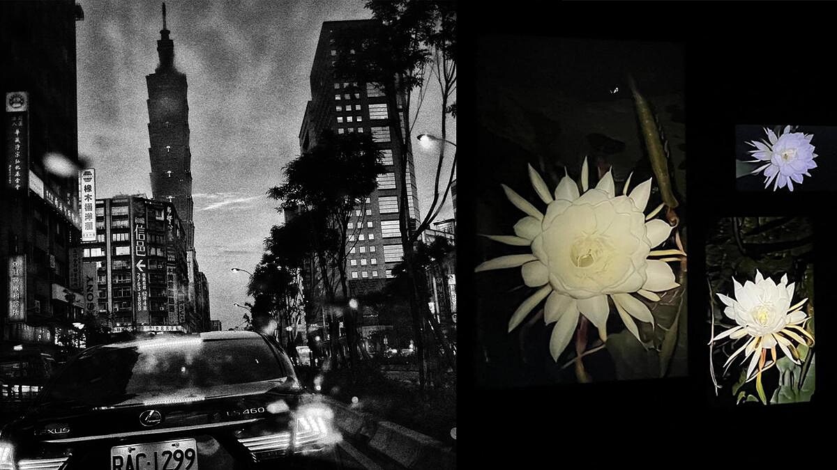 北美館「時代劇場」攝影展集結杉本博司、森山大道、石內都等作 看見當代影像的可能性