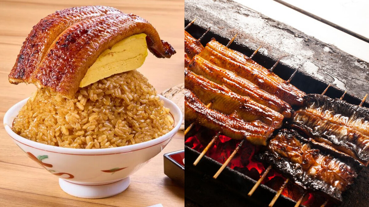 LaLaport南港美食｜鰻鰻EXPRESS的炭火直烤活鰻丼飯