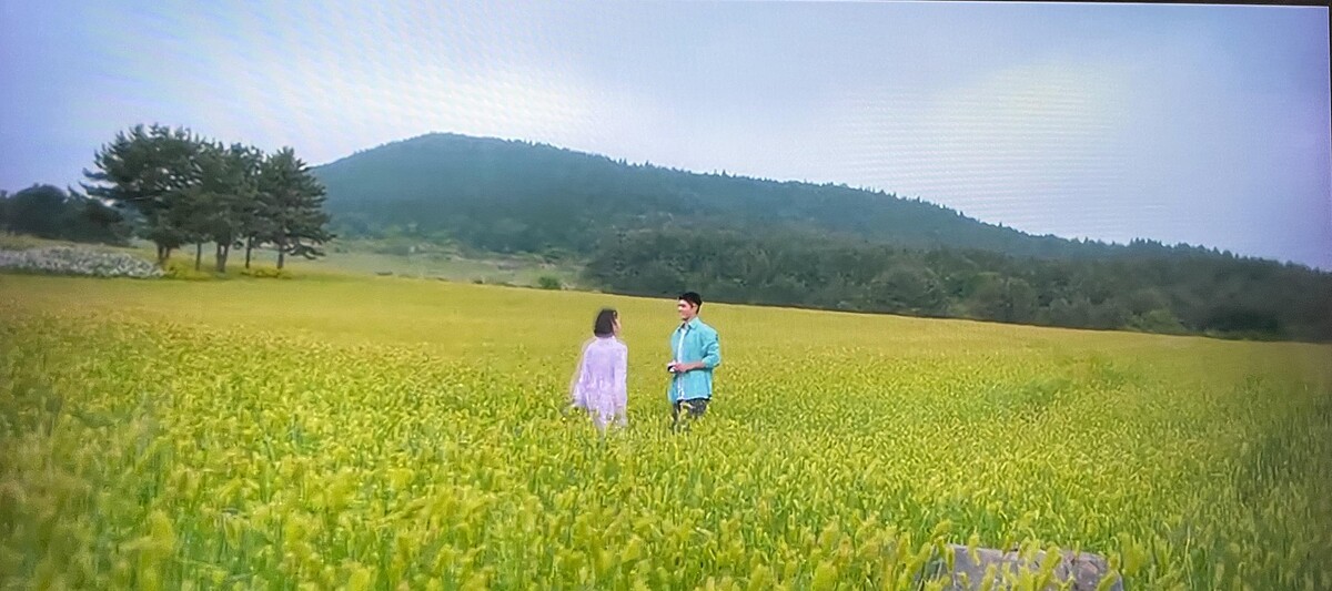 Photo/翻攝自Netflix