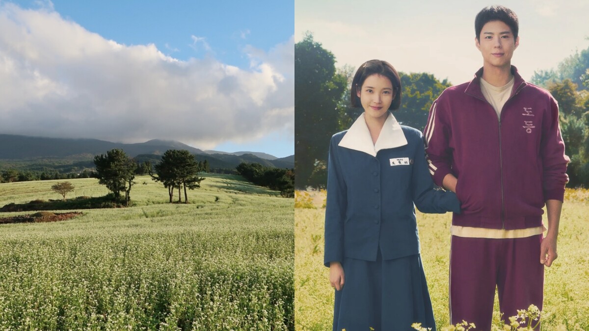 【Julia韓國觀察筆記】跟著韓劇遊韓國！《苦盡柑來遇見你》都在濟州島哪裡拍？