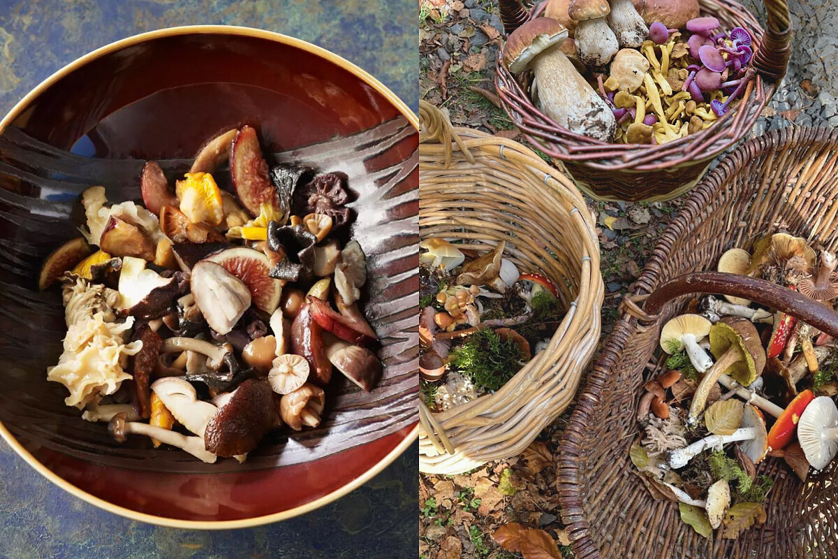 他擅長把森林中的野蕈、山間的草本、在地的自然食材作為創作靈感。