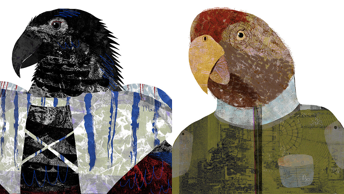 2025水逆來襲也逆不到他，最懂求生存的星座TOP3