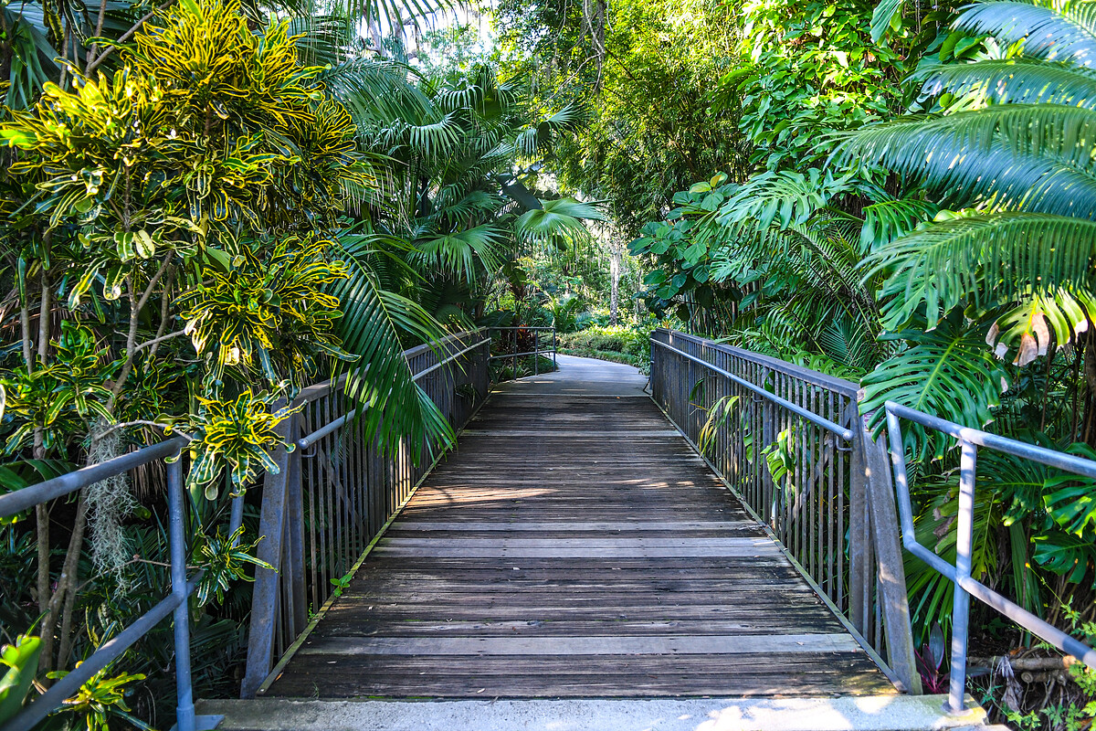 心理測驗｜進入小動物山間，測測自己在敏感與理智間要注意什麼？｜&copy; Getty Images