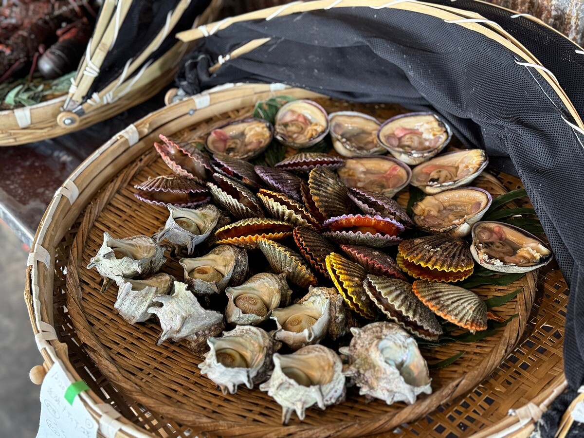 產自伊勢志摩海的扇貝與蠑螺,由海女奶奶掌握完美炭烤火候,美味上桌。