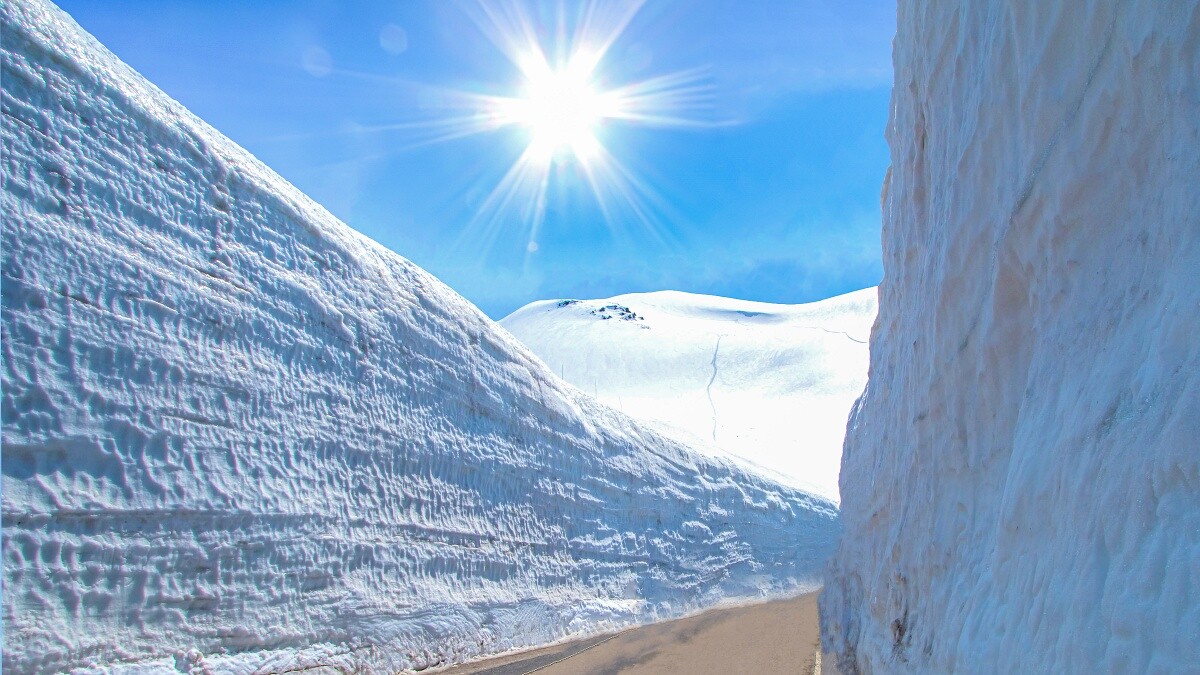 立山黑部/黑部立山「雪之大谷」絕景