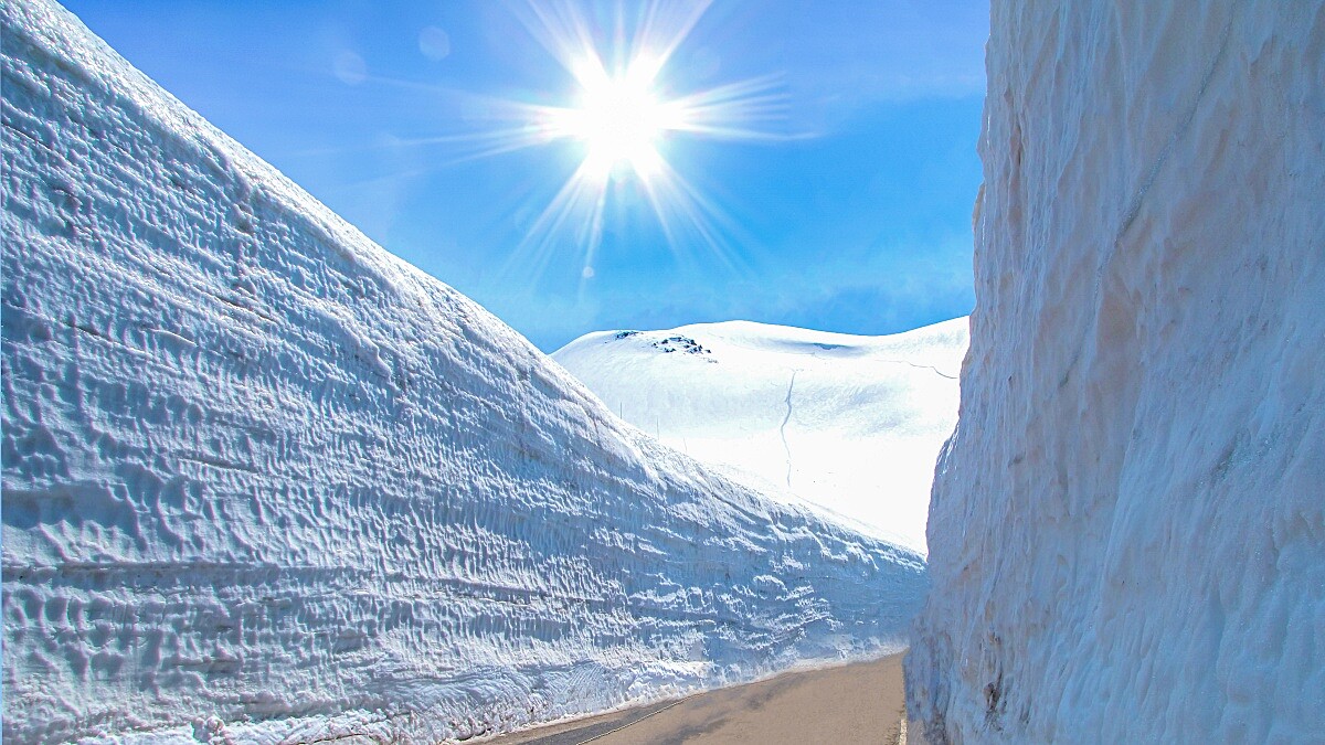 2025立山黑部開山！雪之大谷絕景、交通攻略、必看亮點一次掌握