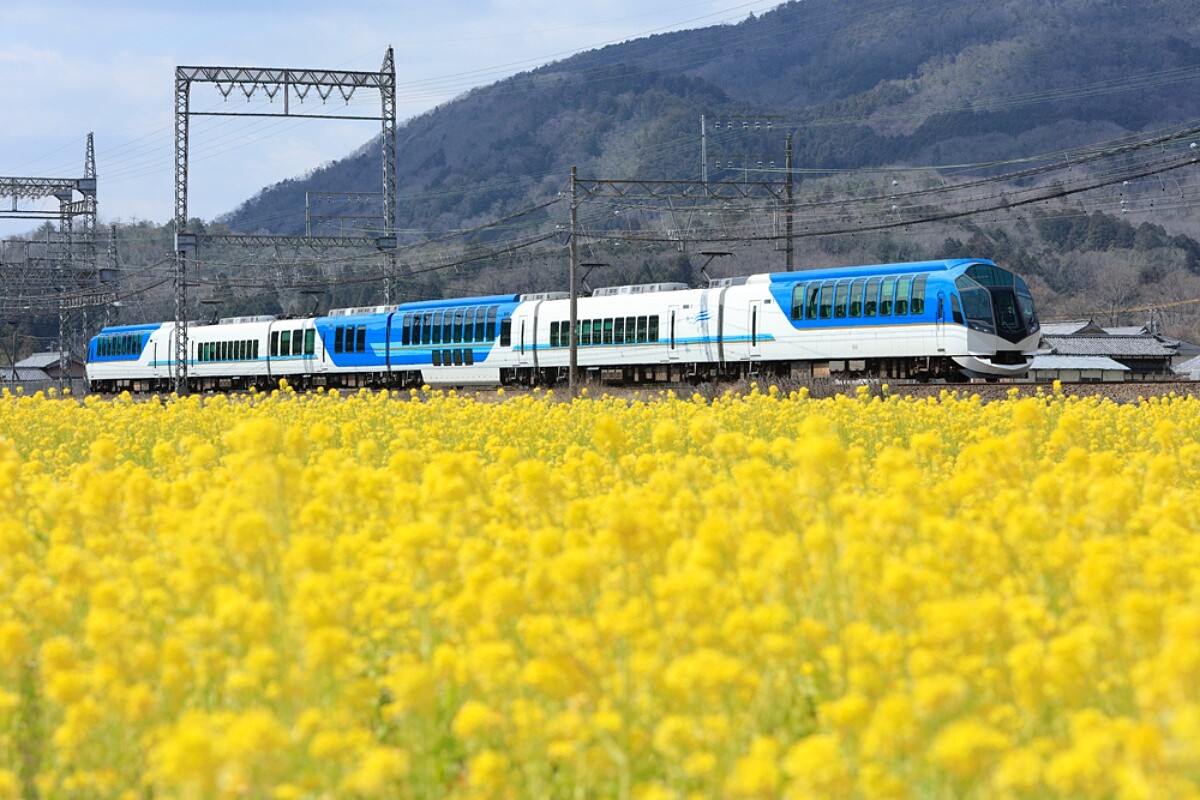 近畿鐵路的觀光特急列車SHIMAKAZE島風號，外觀是清爽的藍白色，帶你直奔賢島的海景。