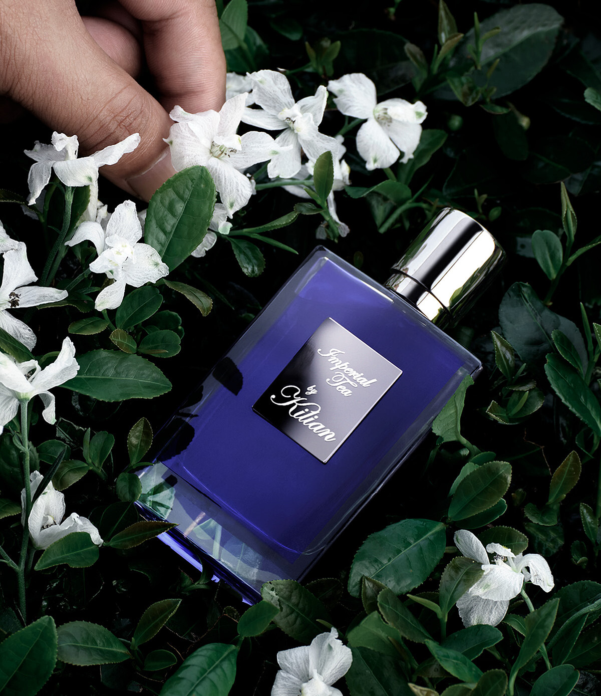 《帝國茗茶淡香精》 50ml / NT$9,300