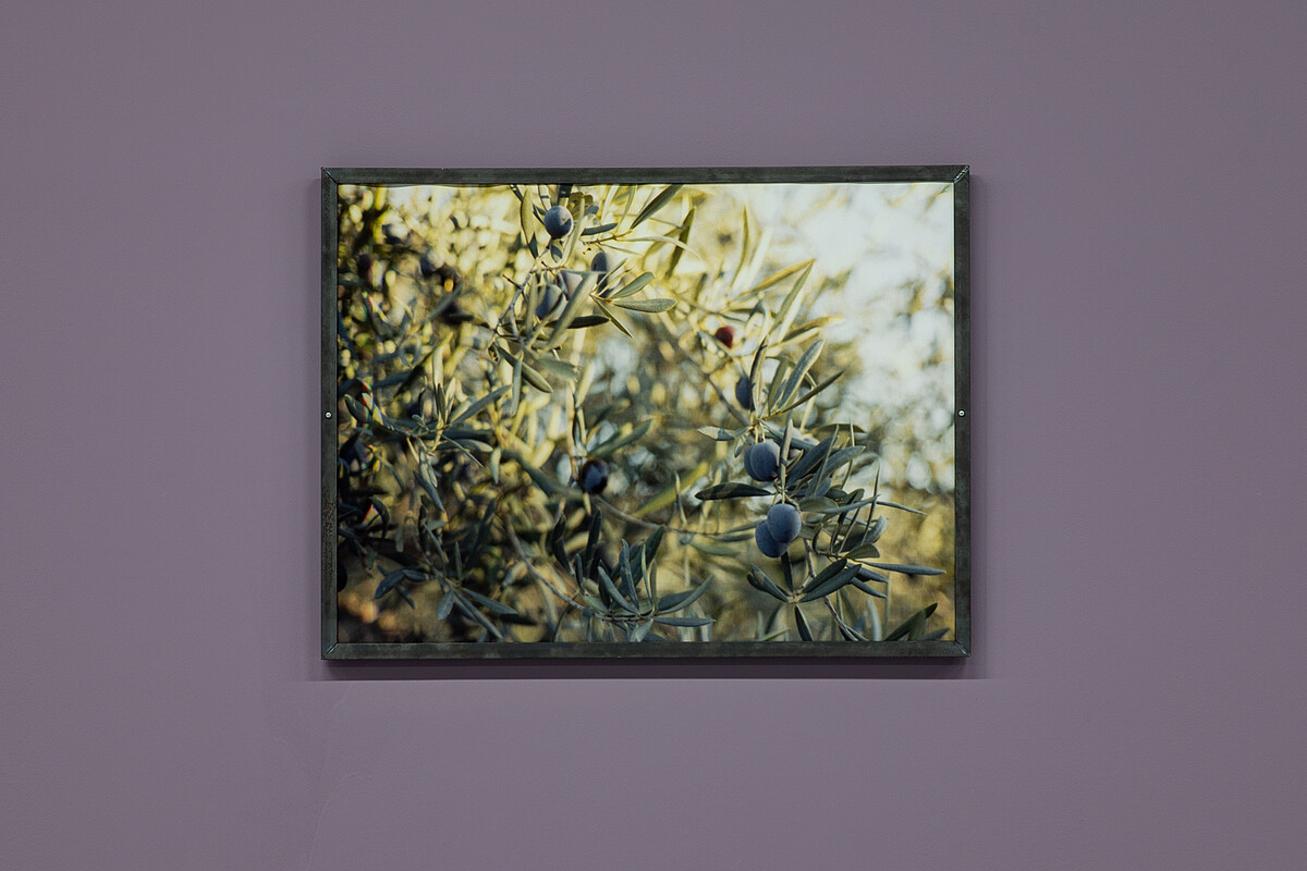 黃麗音，《粒粒》，2025，C型印刷、低碳鋼、木頭，83 &times; 63 &times; 2公分。圖像由北美館提供。