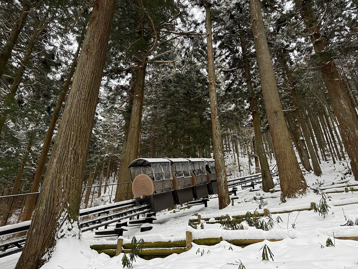 搭乘超陡小火車上山一探鐘乳石洞，幸運的話沿途可以看到野鹿。
