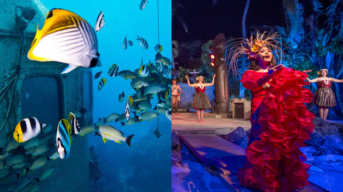 Photo／Fish Eye Marine Park 