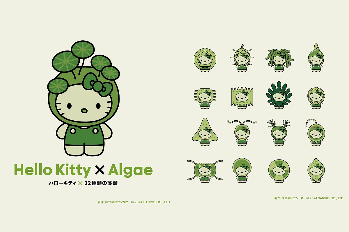 藻類 Hello Kitty 意圖讓人荷包失控!