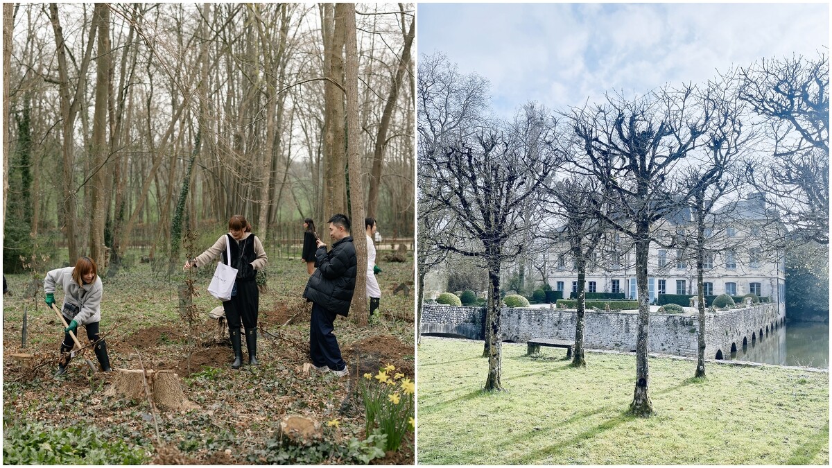 活動中亦有植樹環節，響應永續議題。