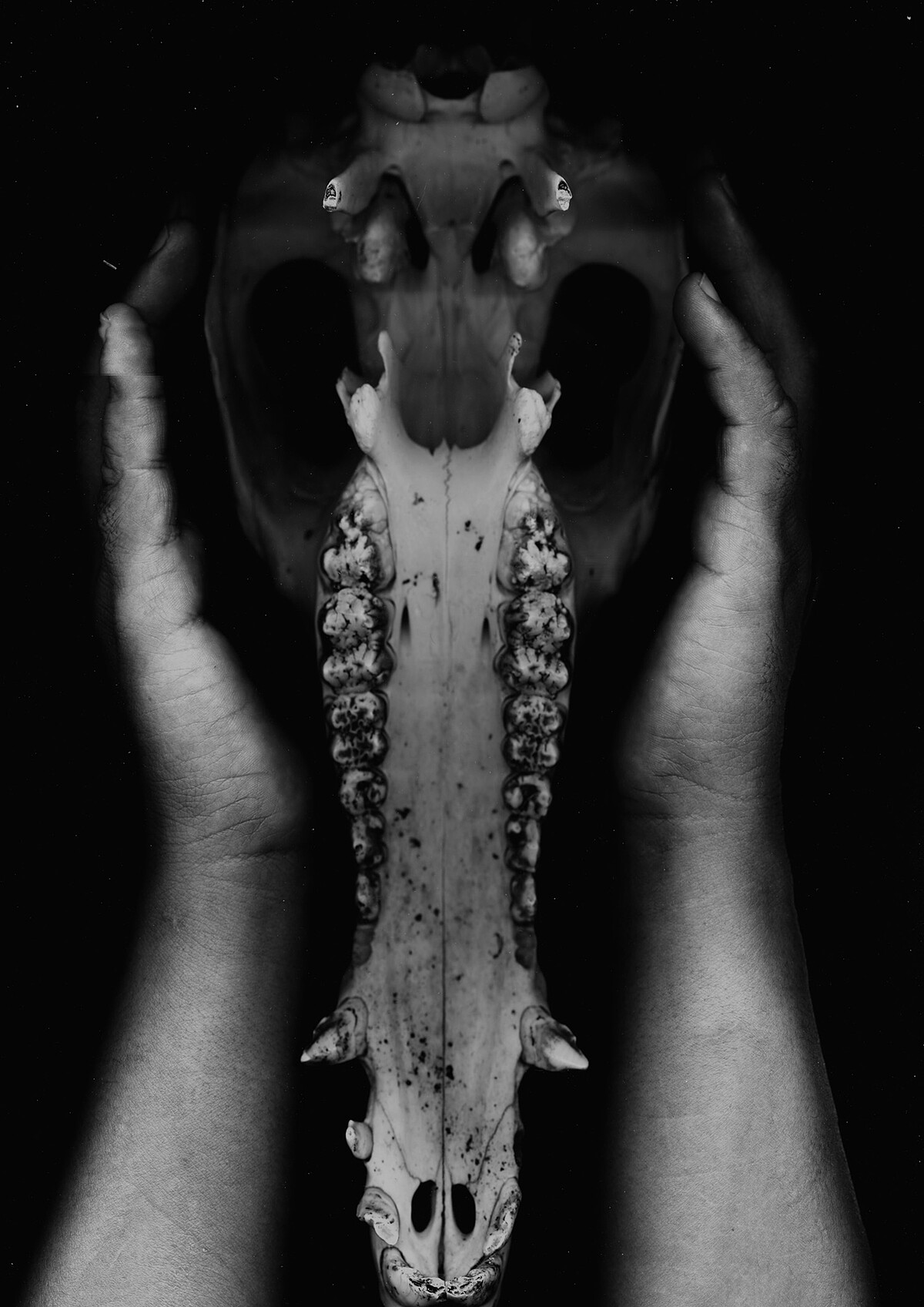 分享｜&copy; 版權屬藝術家所有