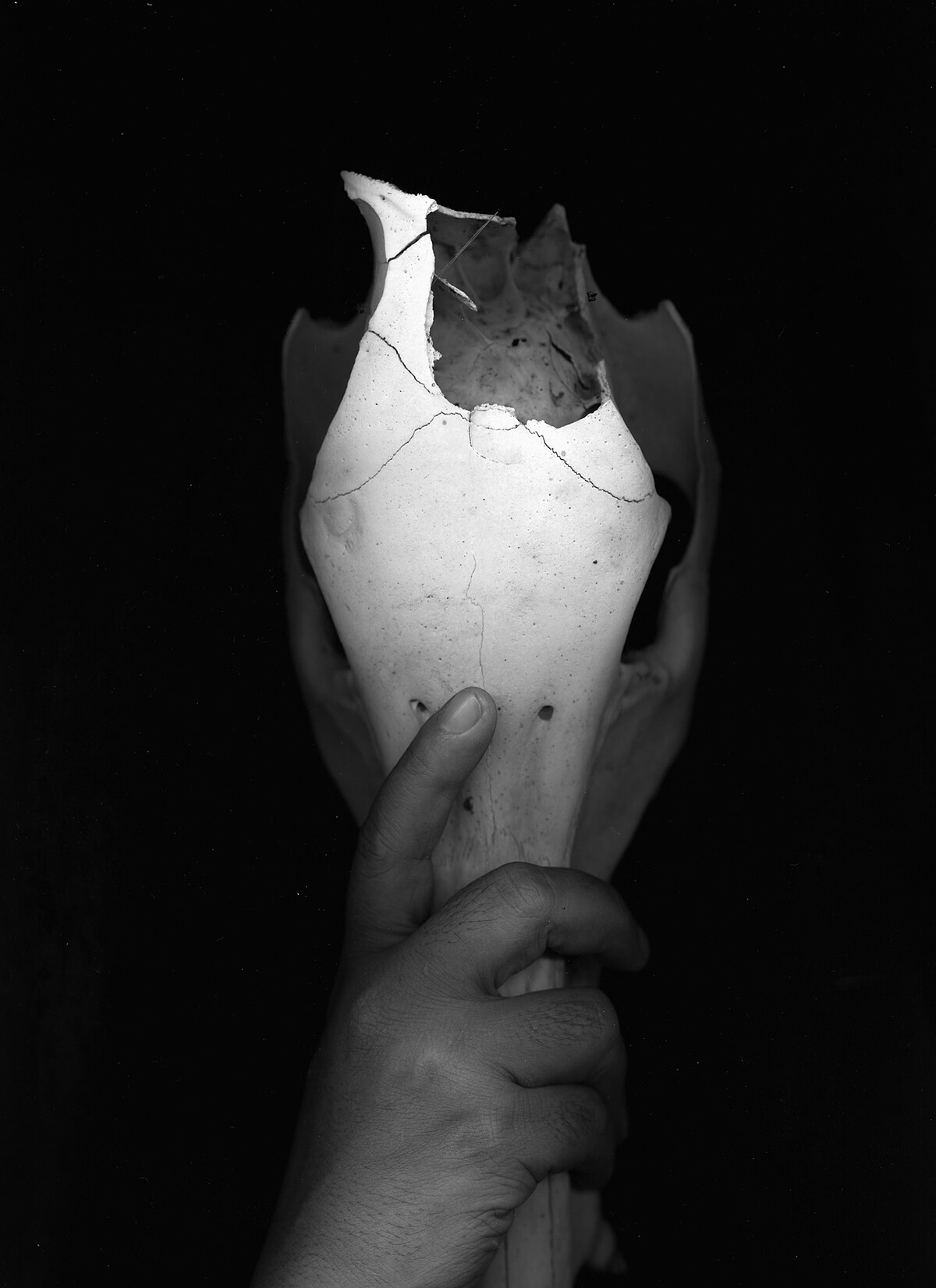 獵人｜&copy; 版權屬藝術家所有