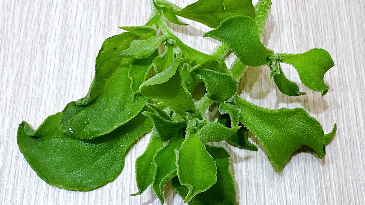 ｢冰花｣—蔬菜界洋芋片 妳嚐過了嗎？對女生的9大好處：可以防止脫髮、還能保養婦科，吃起來！