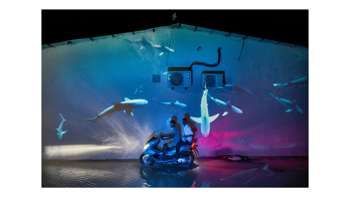 ⓒPiermartiri + Delille/Institute