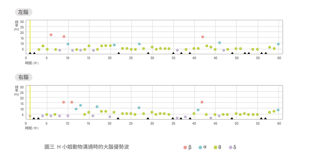 H小姐動物溝通時的大腦優勢波
