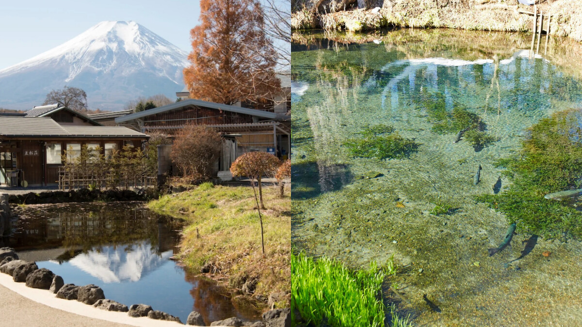 Photo/日本觀光局 Visit Japan from Taiwan