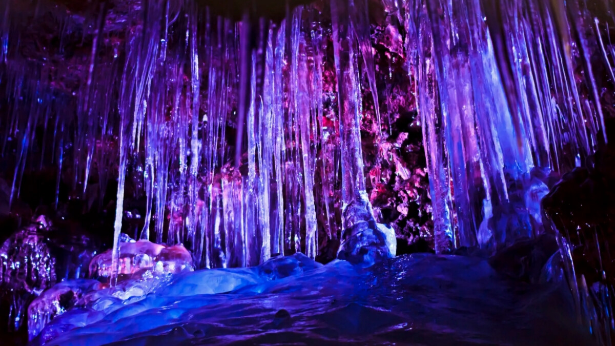 Photo/日本觀光局 Visit Japan from Taiwan