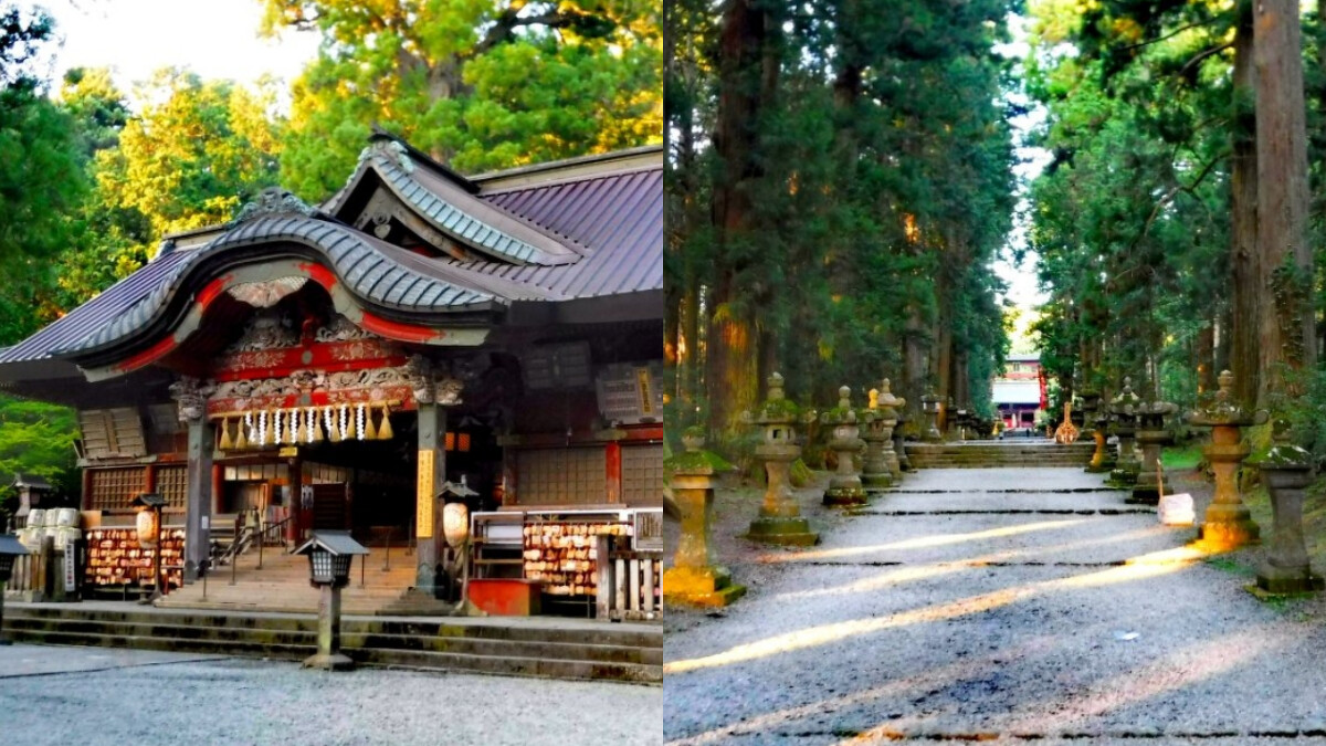 Photo/日本觀光局 Visit Japan from Taiwan