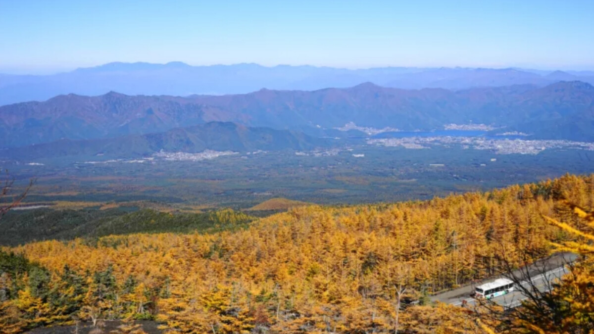 Photo/日本觀光局 Visit Japan from Taiwan