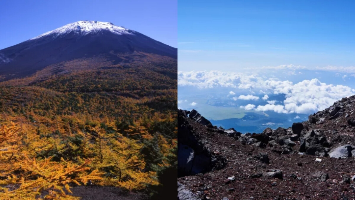 Photo/日本觀光局 Visit Japan from Taiwan