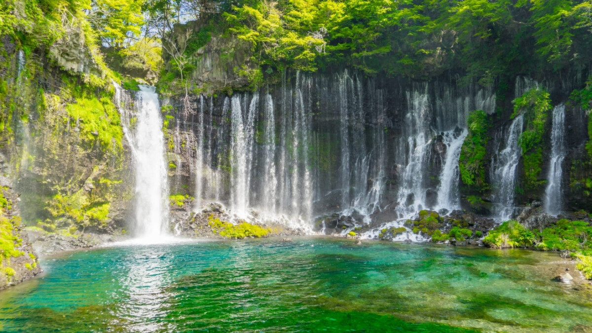 Photo/日本觀光局 Visit Japan from Taiwan