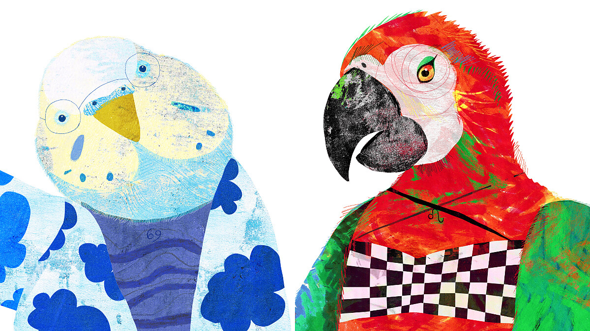 【星星教授安格斯 4/28-5/4 星座運勢】巨蟹易被感受困住，獅子別太在意面子問題