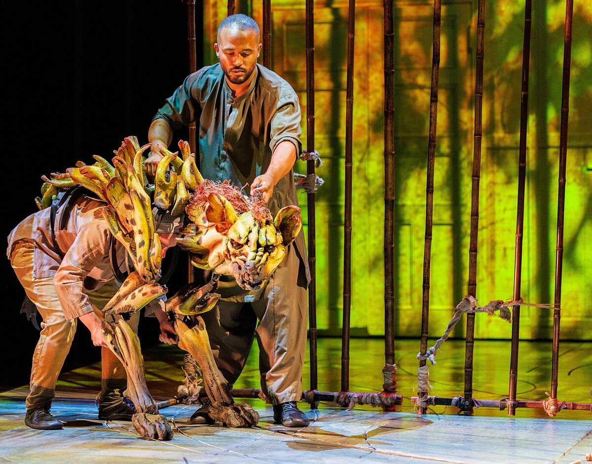 《少年PI的奇幻漂流》舞台劇劇照（攝影｜Johan Persson）