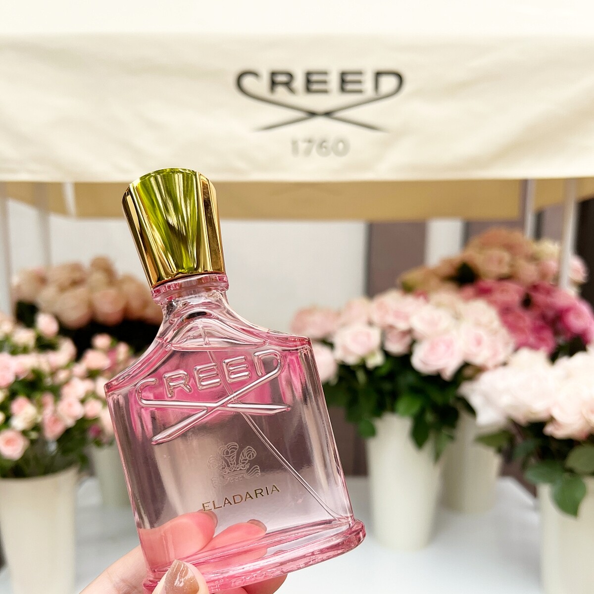 CREED Eladaria晨曦玫瑰30ml，NT7,380、75ml，NT11,800